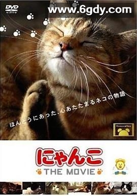 猫咪合租屋(2022)完结已完结 共10集迅雷网盘全集下载