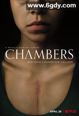 心室(2019)完结10集全迅雷网盘全集下载