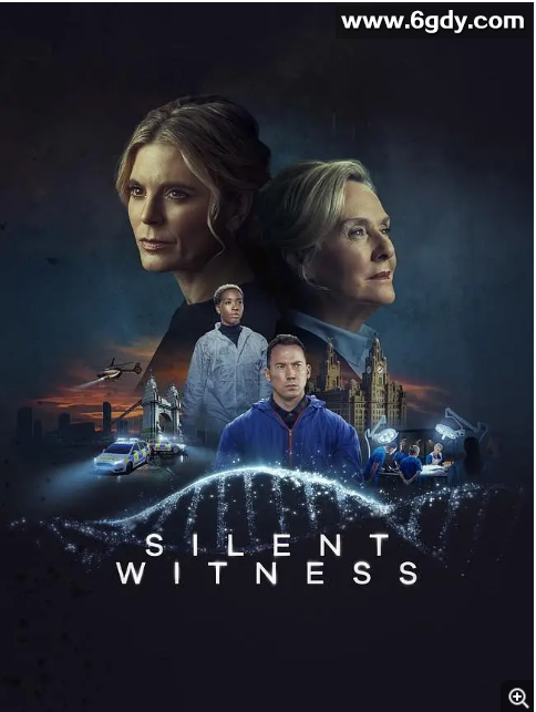 无声的证言 第二十五季(2022)完结6集全迅雷网盘全集下载