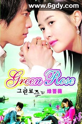 绿蔷薇(2005)完结全22集迅雷网盘全集下载