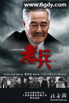 老兵(2014)完结已完结迅雷网盘全集下载