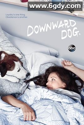 萌犬先生(2017)完结全8集迅雷网盘全集下载