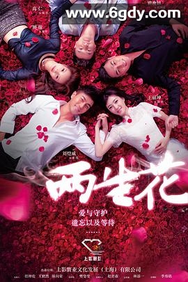两生花(2015)完结更新至39集迅雷网盘全集下载