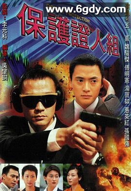 保护证人组(1997)完结20集全迅雷网盘全集下载