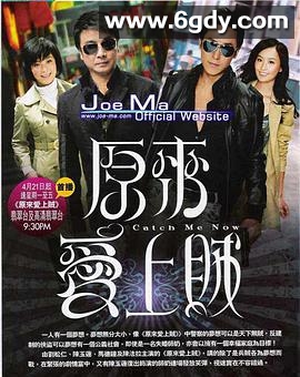 原来爱上贼(2008)完结20集全迅雷网盘全集下载