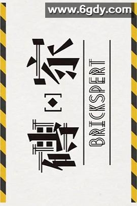 砖家2(2019)完结已完结迅雷网盘全集下载