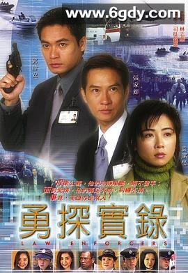 勇探实录(2001)完结20集全迅雷网盘全集下载