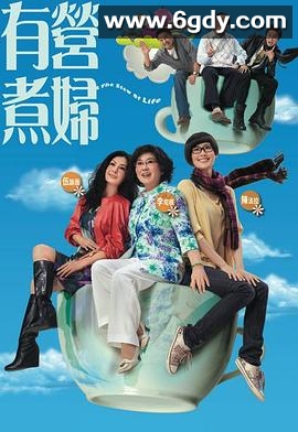 有营煮妇(2009)完结30集全迅雷网盘全集下载