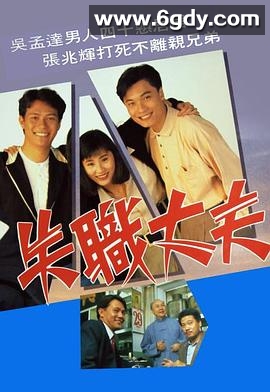 失职丈夫(1990)完结20集全迅雷网盘全集下载