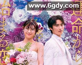 命中注定我爱你2020日版(2020)完结已完结迅雷网盘全集下载