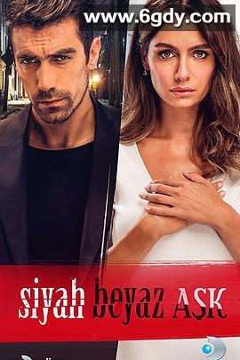 黑白恋曲(2017)完结已完结迅雷网盘全集下载