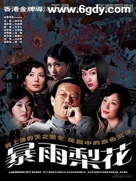 暴雨梨花(2006)完结40集全迅雷网盘全集下载