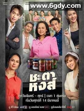 凤凰的命运(2025)完结第3集迅雷网盘全集下载