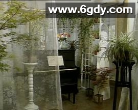 寒星1992(1992)完结已完结迅雷网盘全集下载