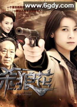 杀狼花(2012)完结全25集迅雷网盘全集下载