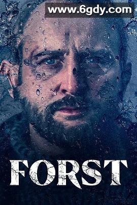 警探福斯特(2024)完结6集全迅雷网盘全集下载