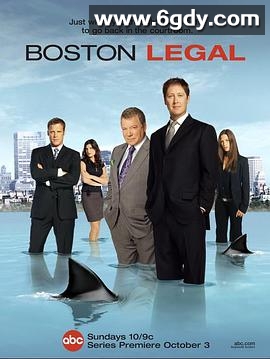波士顿法律 第一季(2004)完结17集全迅雷网盘全集下载