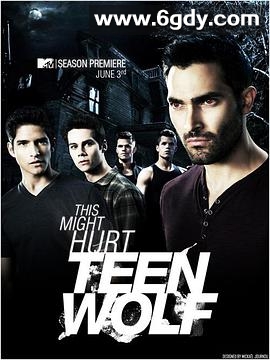 少狼 第三季(2013)完结24集全迅雷网盘全集下载