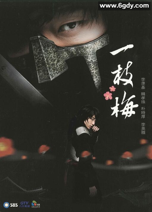 一枝梅(2008)完结全20集迅雷网盘全集下载