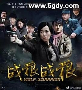 战狼·战狼(2017)完结第50集迅雷网盘全集下载