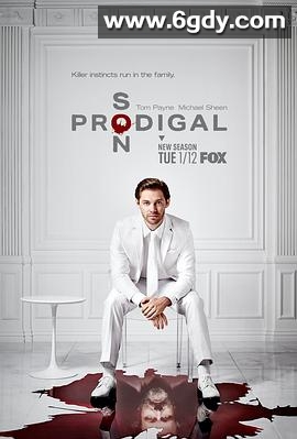 浪子神探 第二季(2021)完结13集全迅雷网盘全集下载