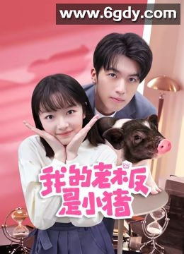 我的老板是小猪(2024)完结12集全迅雷网盘全集下载