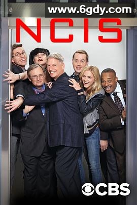 海军罪案调查处 第十四季(2016)完结已完结迅雷网盘全集下载