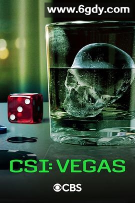 犯罪现场调查：维加斯 第三季(2024)完结10集全迅雷网盘全集下载