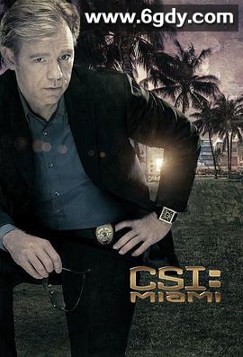 犯罪现场调查：迈阿密 第七季(2008)完结已完结迅雷网盘全集下载