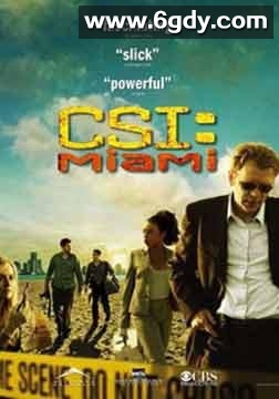 犯罪现场调查：迈阿密 第九季(2010)完结更新至第22集迅雷网盘全集下载