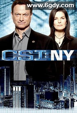 犯罪现场调查：纽约 第七季(2010)完结已完结迅雷网盘全集下载