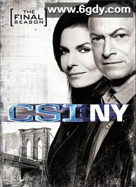 犯罪现场调查：纽约 第九季(2012)完结已完结迅雷网盘全集下载