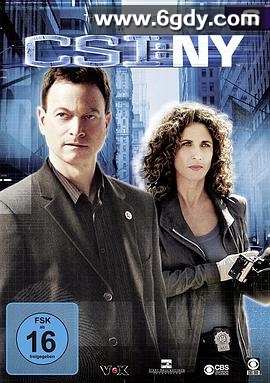 犯罪现场调查：纽约 第六季(2009)完结已完结迅雷网盘全集下载
