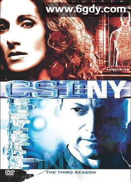 犯罪现场调查：纽约 第三季(2006)完结已完结迅雷网盘全集下载