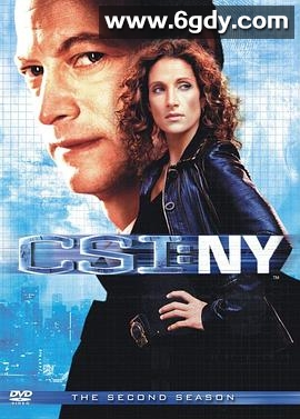 犯罪现场调查：纽约 第二季(2005)完结已完结迅雷网盘全集下载
