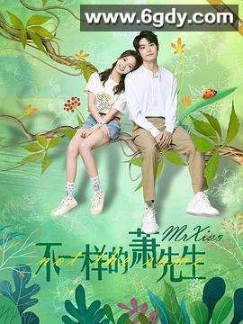 不一样的萧先生(2023)完结全24集迅雷网盘全集下载