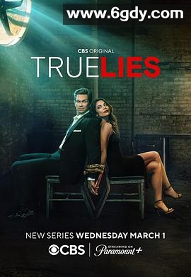 真实的谎言(2023)完结13集全迅雷网盘全集下载