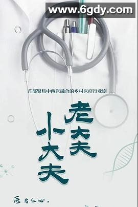 老大夫 小大夫(2023)完结40集全迅雷网盘全集下载