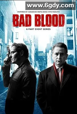 萧墙暗斗 第一季(2017)完结已完结 共6集迅雷网盘全集下载