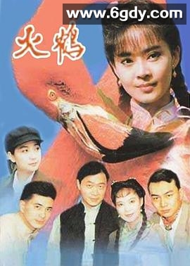 火鹤(1994)完结已完结迅雷网盘全集下载