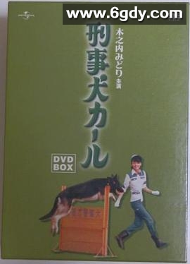 警犬卡尔(1977)完结已完结迅雷网盘全集下载