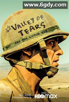 泪之谷(2020)完结10集全迅雷网盘全集下载