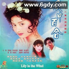 风中百合(1997)完结已完结迅雷网盘全集下载