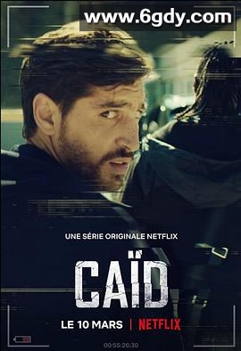 老大 第一季(2021)完结已完结迅雷网盘全集下载