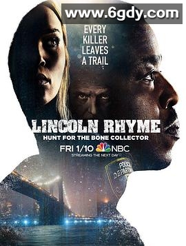 神探林肯：人骨拼图(2020)完结10集全迅雷网盘全集下载