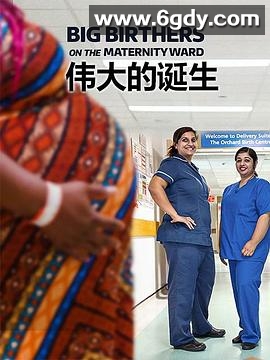 伟大的诞生 第一季(2019)完结已完结迅雷网盘全集下载