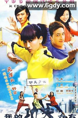 我的功夫女友(2005)完结已完结迅雷网盘全集下载