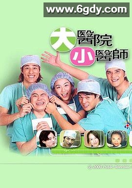 大医院小医师(2000)完结已完结迅雷网盘全集下载