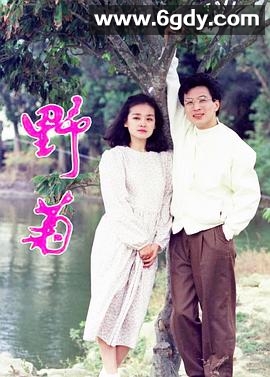 野菊(1991)完结已完结迅雷网盘全集下载