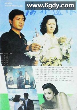 海外遗恨(1993)完结已完结迅雷网盘全集下载